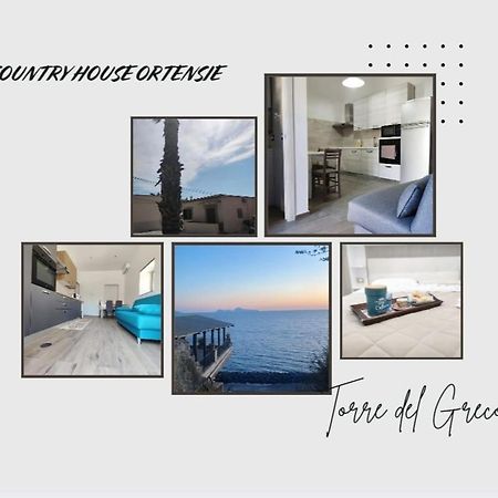Country House Ortensie Τόρρε ντελ Γκρέκο Εξωτερικό φωτογραφία