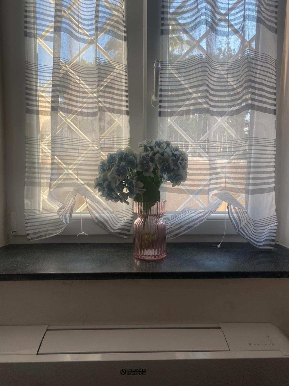 Country House Ortensie Τόρρε ντελ Γκρέκο Εξωτερικό φωτογραφία