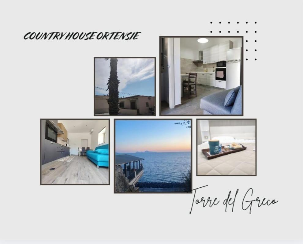 Country House Ortensie Τόρρε ντελ Γκρέκο Εξωτερικό φωτογραφία